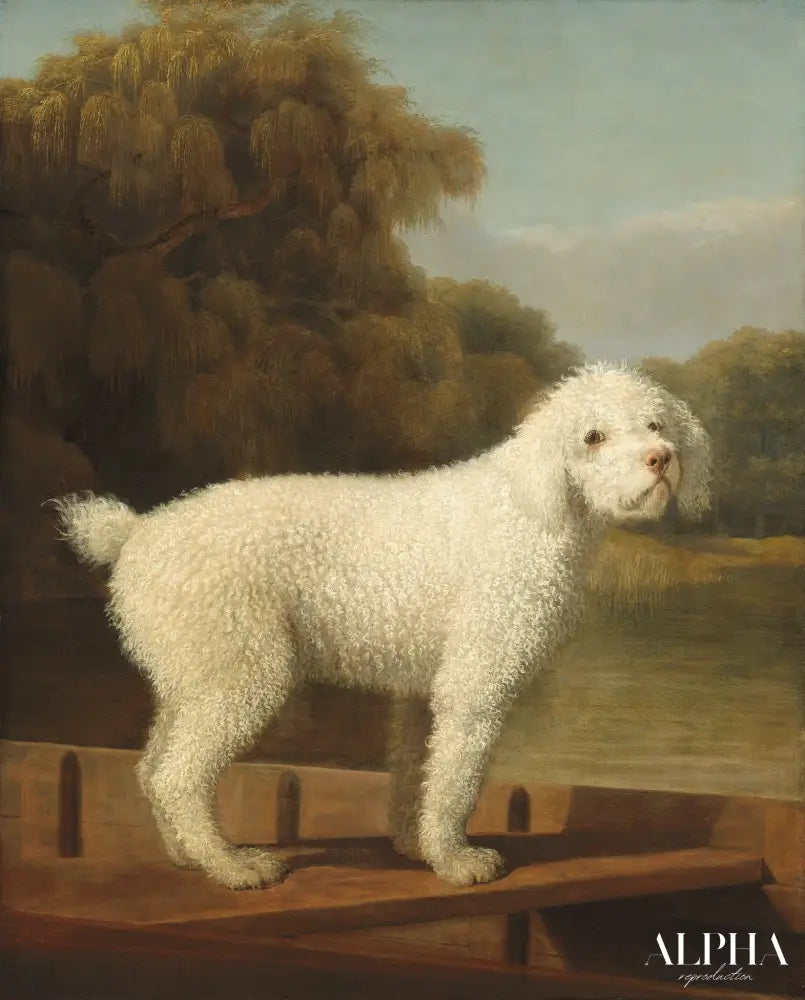 Caniche Blanc dans un Punt - George Stubbs - Reproductions de tableaux et peintures haut de gamme