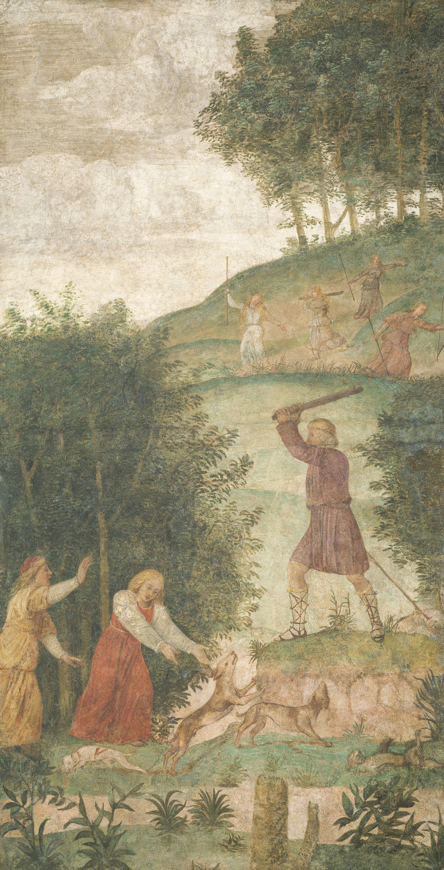Gestraft hoofd tijdens de jacht - Bernardino Luini