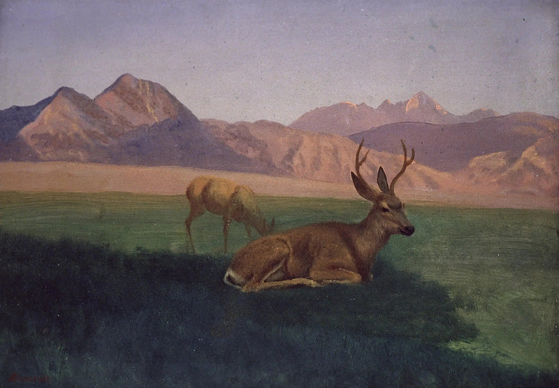 Hert - Albert Bierstadt

Source:
Cerf - Albert Bierstadt