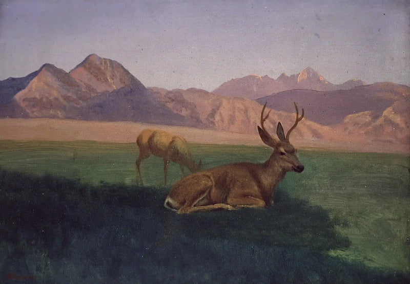 Hert - Albert Bierstadt

Source:
Cerf - Albert Bierstadt