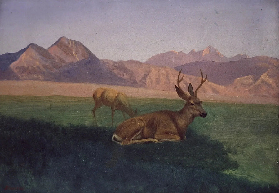 Hert - Albert Bierstadt

Source:
Cerf - Albert Bierstadt