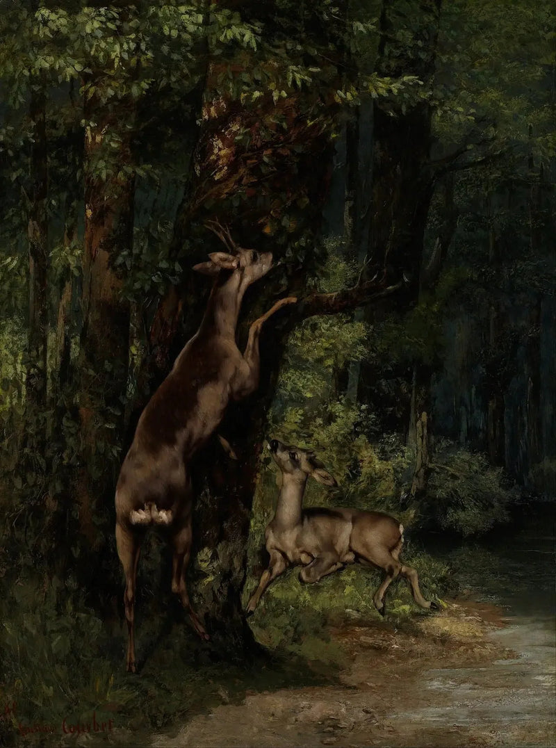 Hert in het bos - Gustave Courbet