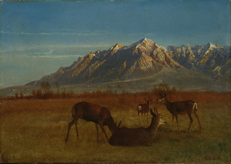 Hert in een berghuis - Albert Bierstadt

Source:
Cerf dans une maison de montagne - Albert Bierstadt