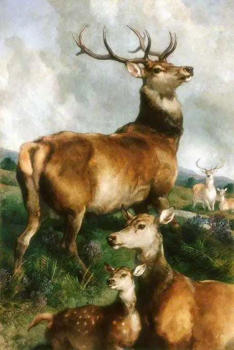 Herten uit het Chillingham-park, Northumberland - Edwin Henry Landseer

Source:
Cerfs du parc de Chillingham, Northumberland - Edwin Henry Landseer