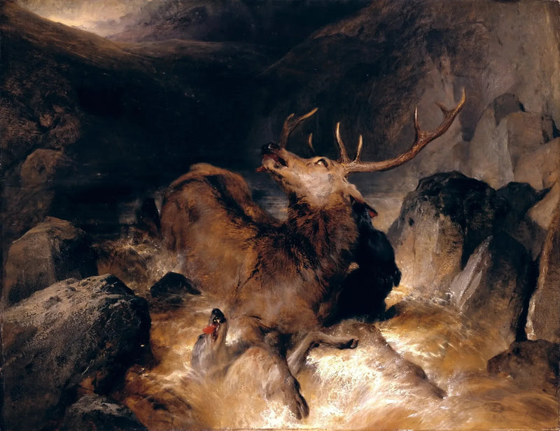 Herten en jachthonden in een bergstroom - Edwin Henry Landseer

Source:
Cerfs et chiens de chasse dans un torrent de montagne - Edwin Henry Landseer