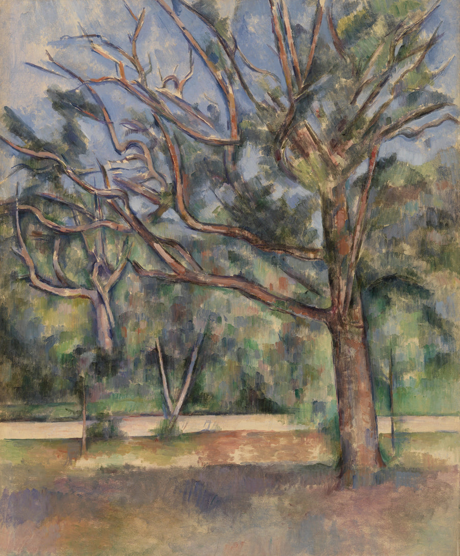 Bomen en weg - Paul Cézanne