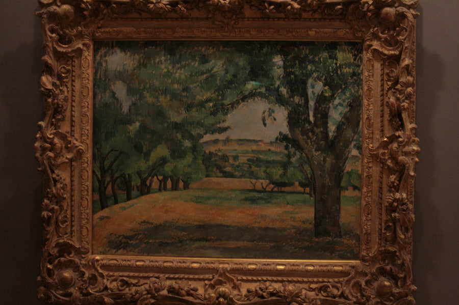 Omgeving van Jas de Bouffan - Paul Cézanne