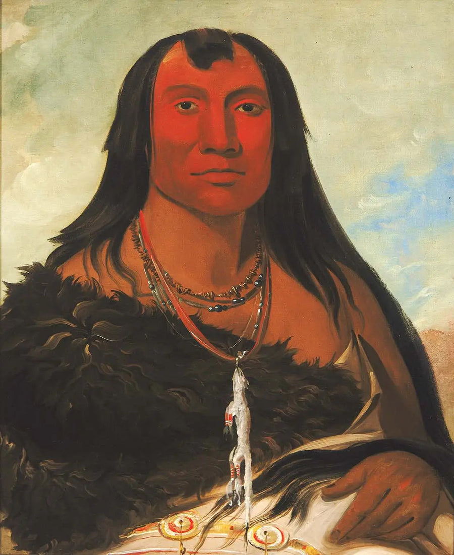 Cháh-ee-chópes, Quatre Loups, een chef in rouw - George Catlin

Source:
Cháh-ee-chópes, Quatre Loups, un chef en deuil - George Catlin