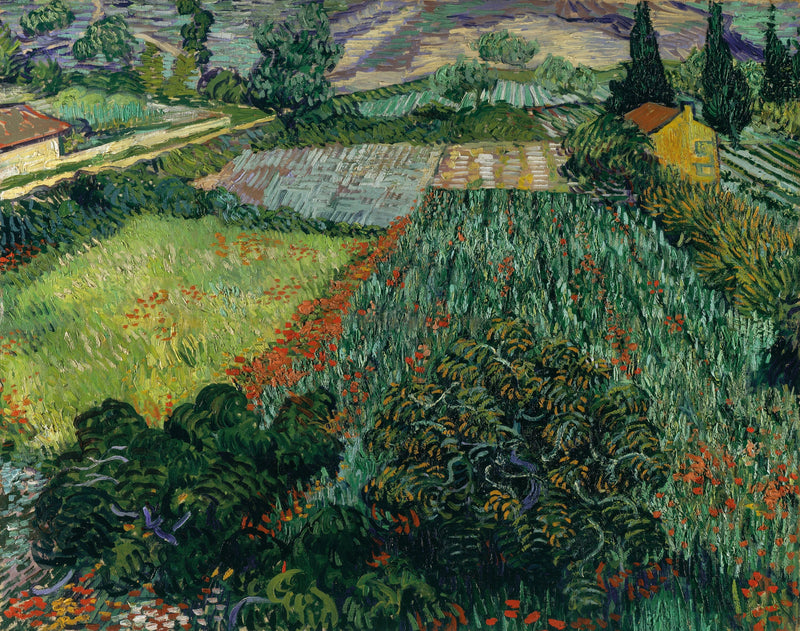 Veld met klaprozen - Vincent van Gogh