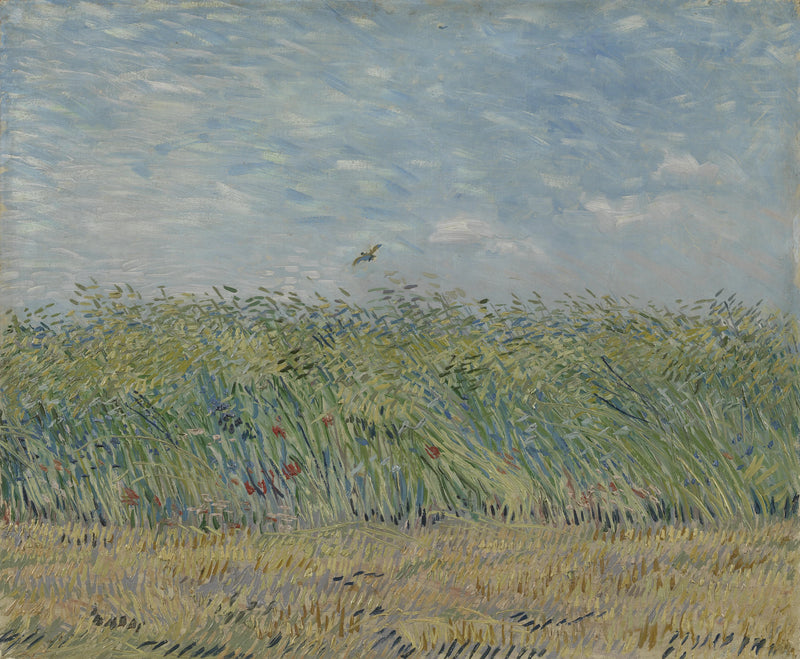Tarweveld met de leeuwerik - Vincent van Gogh