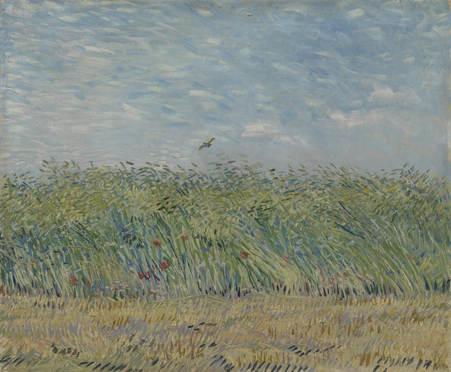 Tarweveld met de leeuwerik - Vincent van Gogh