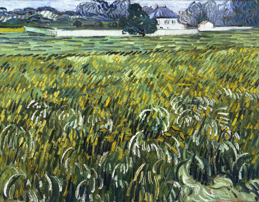 Tarweveld in Auvers met huis - Vincent van Gogh