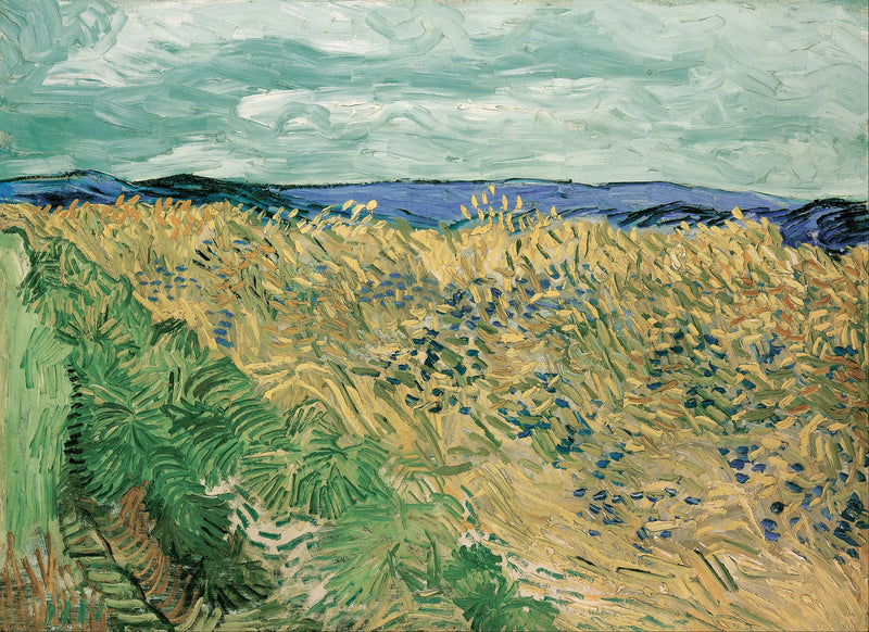 Tarweveld met korenbloemen - Vincent van Gogh