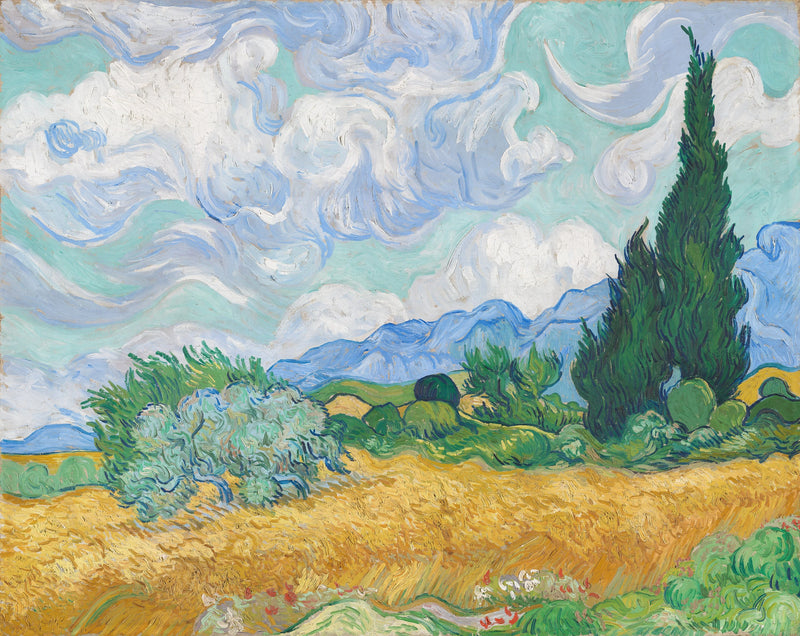 Een tar field met cypressen - Vincent van Gogh
