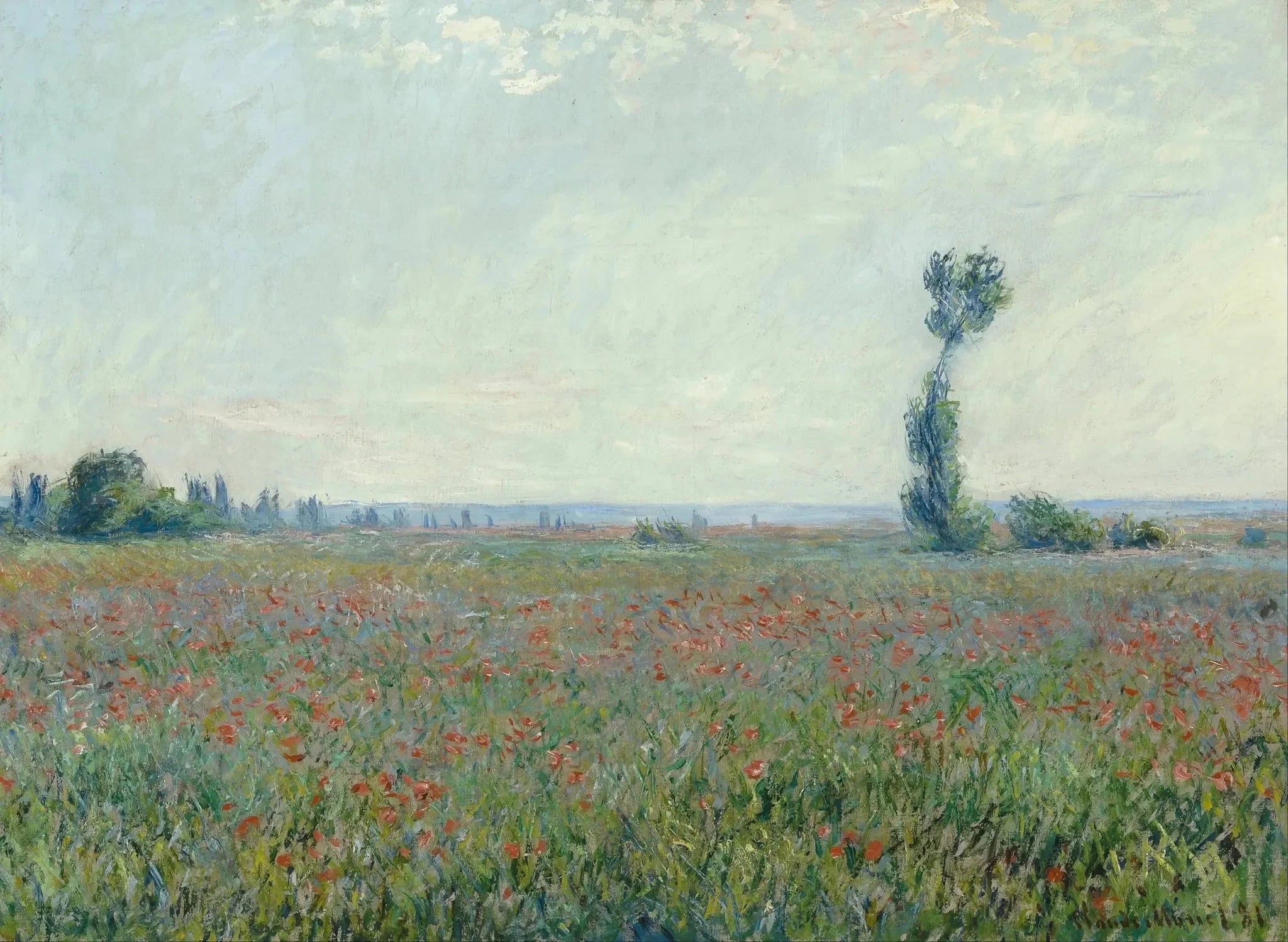 Champ de coquelicots W677 par Claude Monet, Museum Boijmans Van Beuningen
