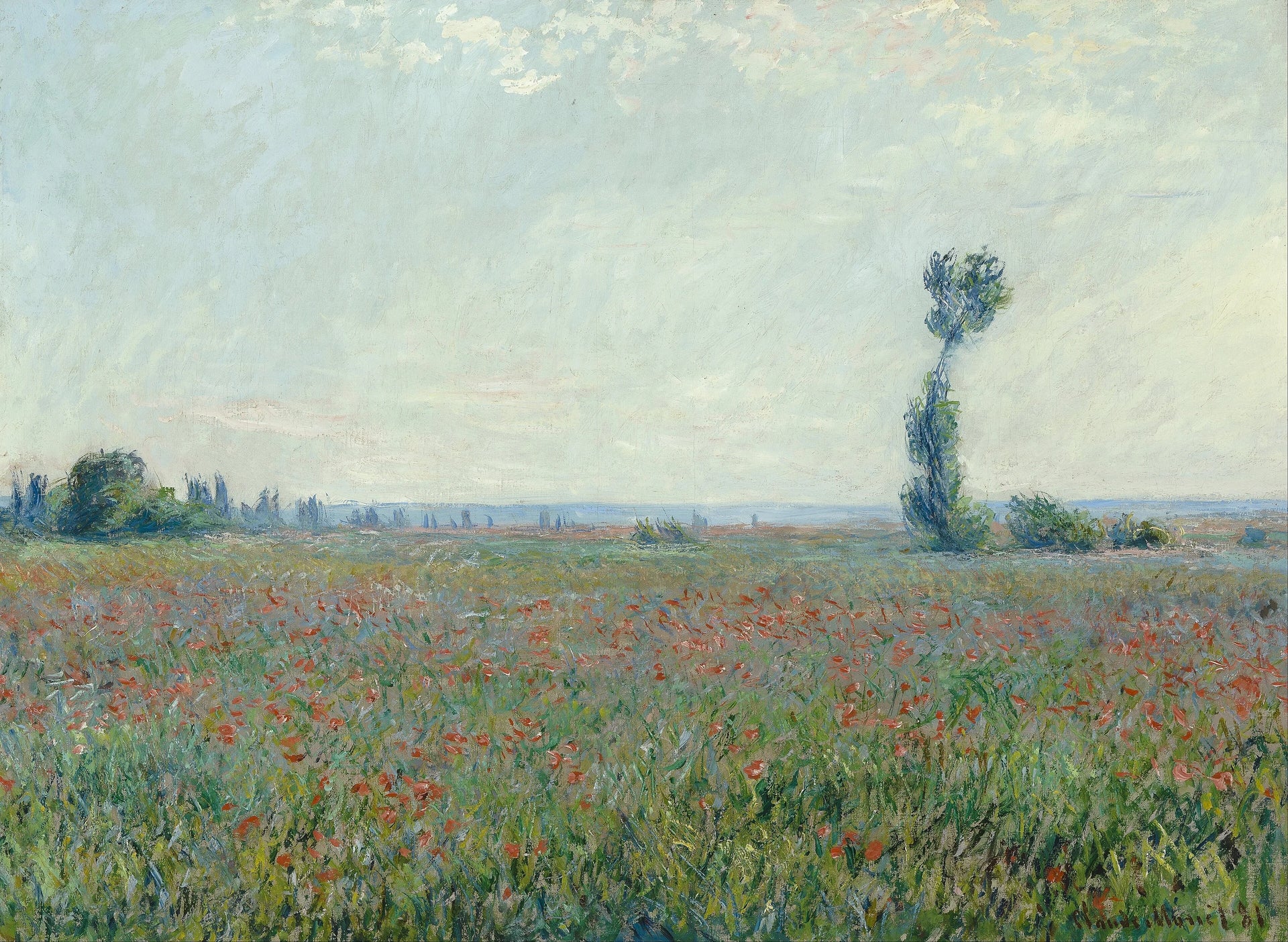 Champ de coquelicots W677 de Claude Monet – Museum Boijmans Van Beuningen 2611 MK