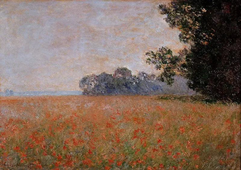 Haverveld met schelpen - Claude Monet