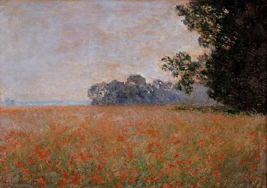 Haverveld met schelpen - Claude Monet