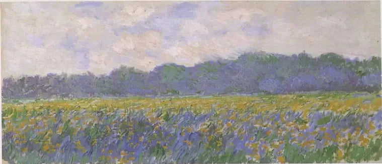 Gele irissenveld in Giverny - Claude Monet