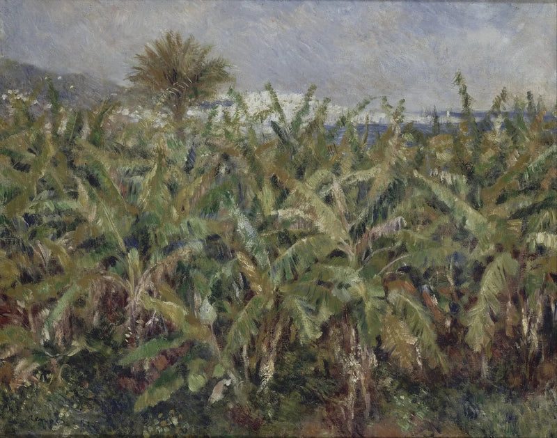 banaanveld - Pierre-Auguste Renoir