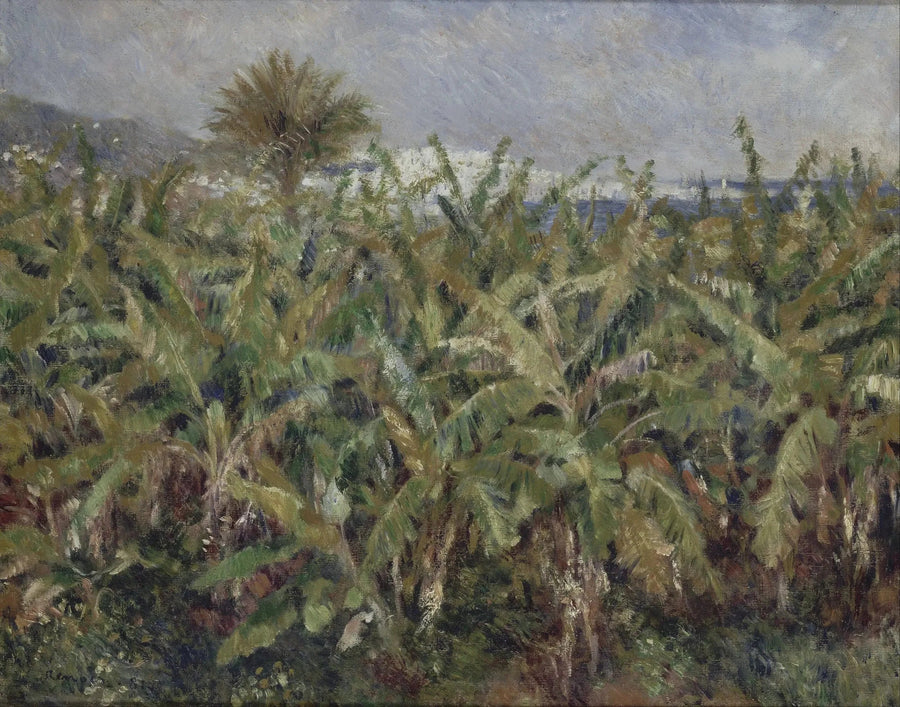 banaanveld - Pierre-Auguste Renoir
