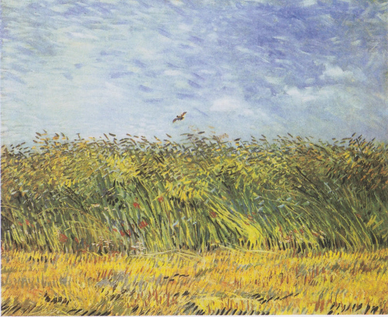 Tarweveld met de leeuwerik - Vincent van Gogh
