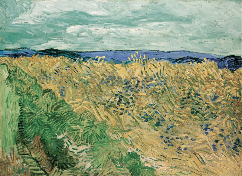 Tarweveld met korenbloemen - Vincent van Gogh