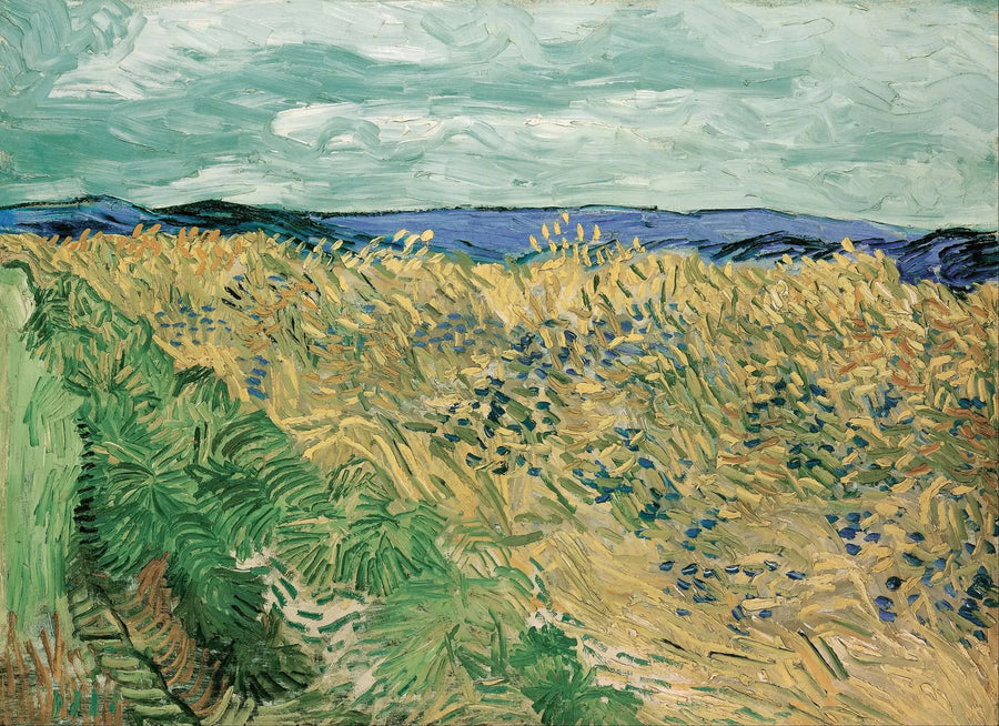Tarweveld met korenbloemen - Vincent van Gogh