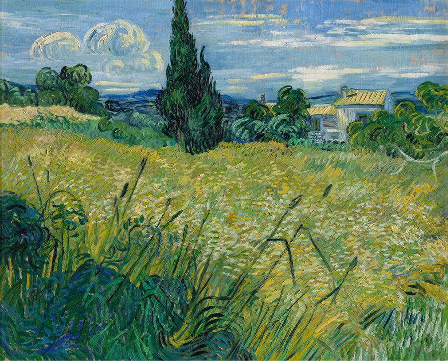 Het groene korenveld met cipressen - Vincent van Gogh