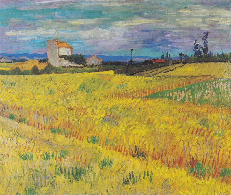 Tarweveld - Vincent van Gogh