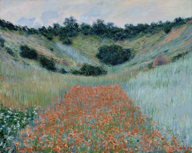 Klaproosveld in een dal nabij Giverny - Claude Monet