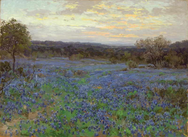 Veld met blauwe lupines bij zonsondergang - Julian Onderdonk