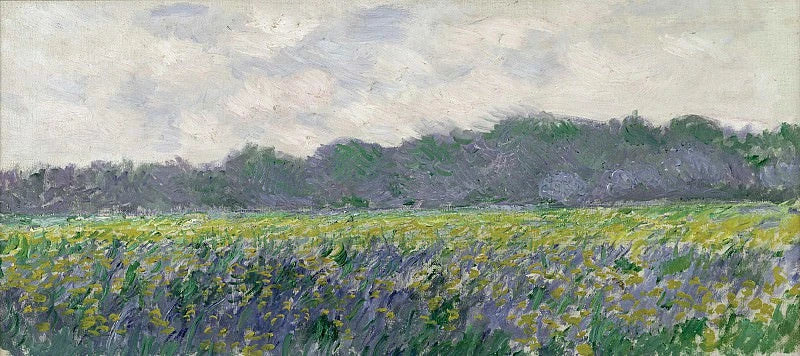 Geel irisveld in Giverny W1137 - Claude Monet