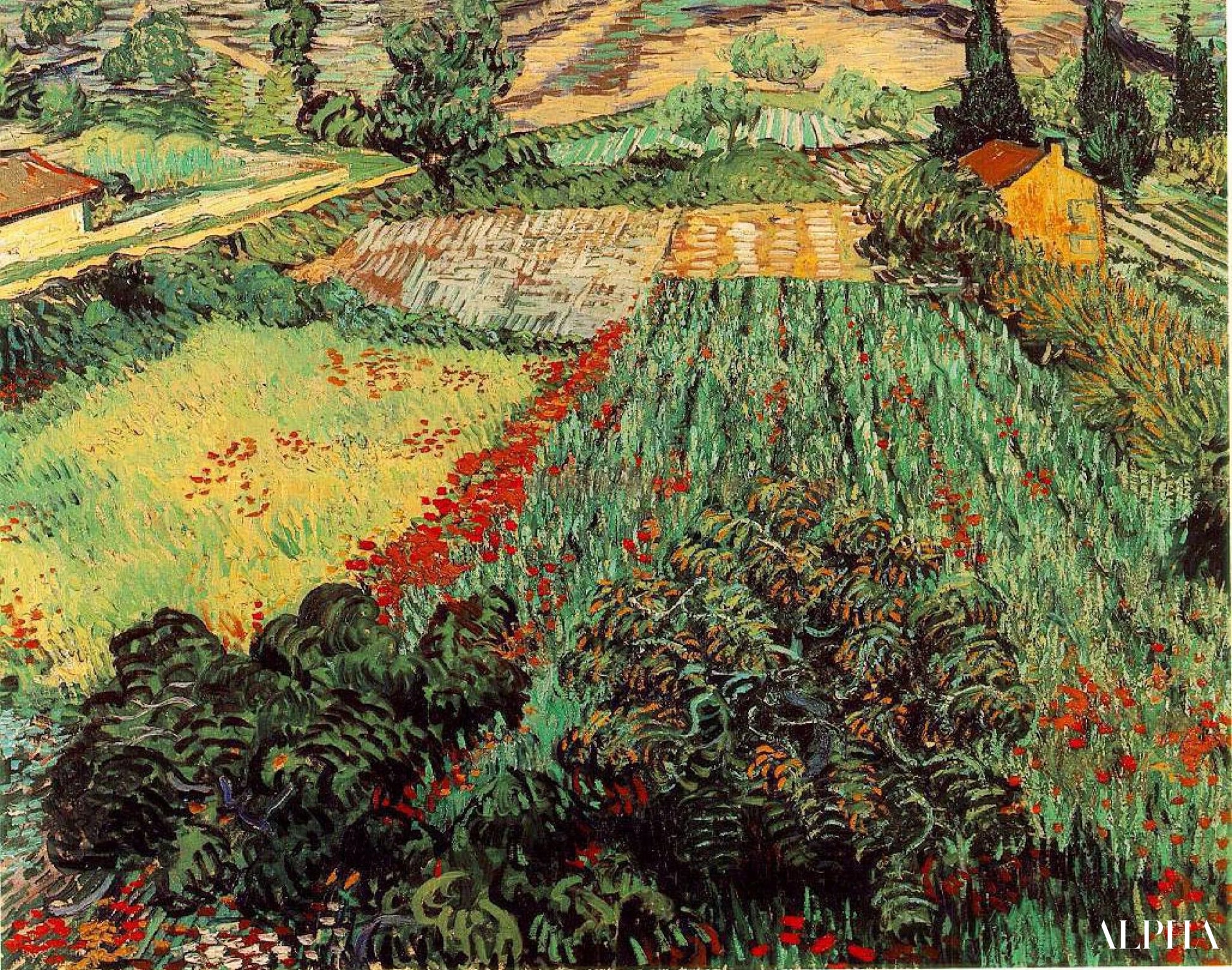 Velden met klaprozen - Van Gogh - Reproducties van schilderijen en hoogwaardige schilderijen