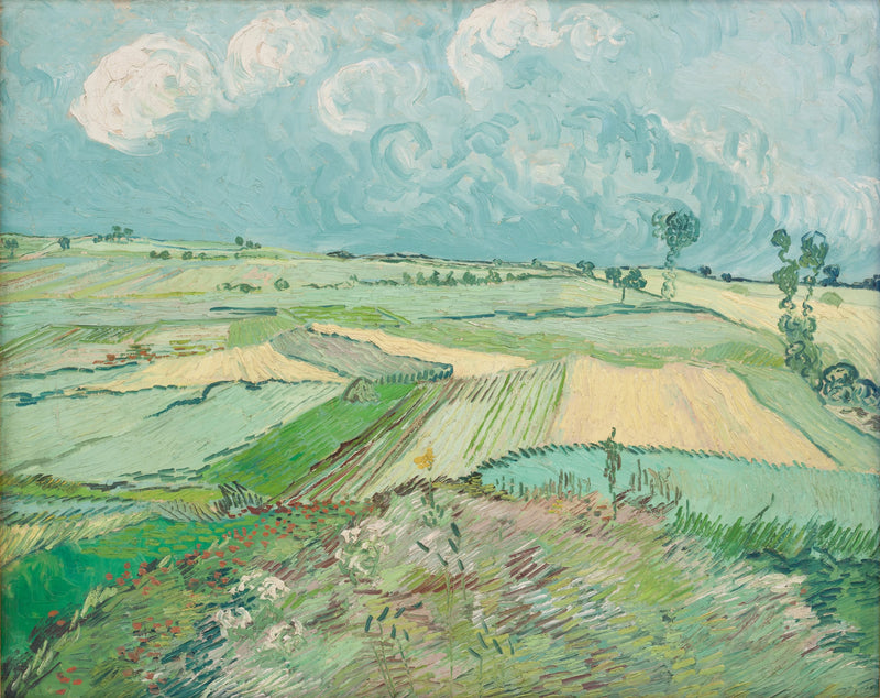 Tarwevelden na de regen - Vincent van Gogh