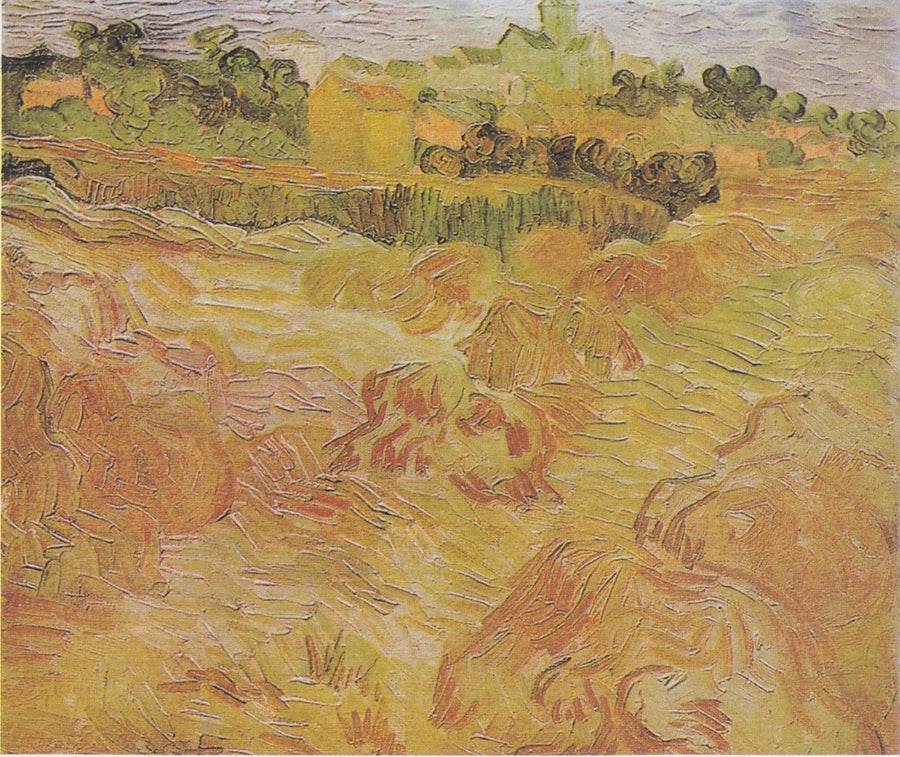Tarwevelden met Auvers op de achtergrond - Vincent van Gogh