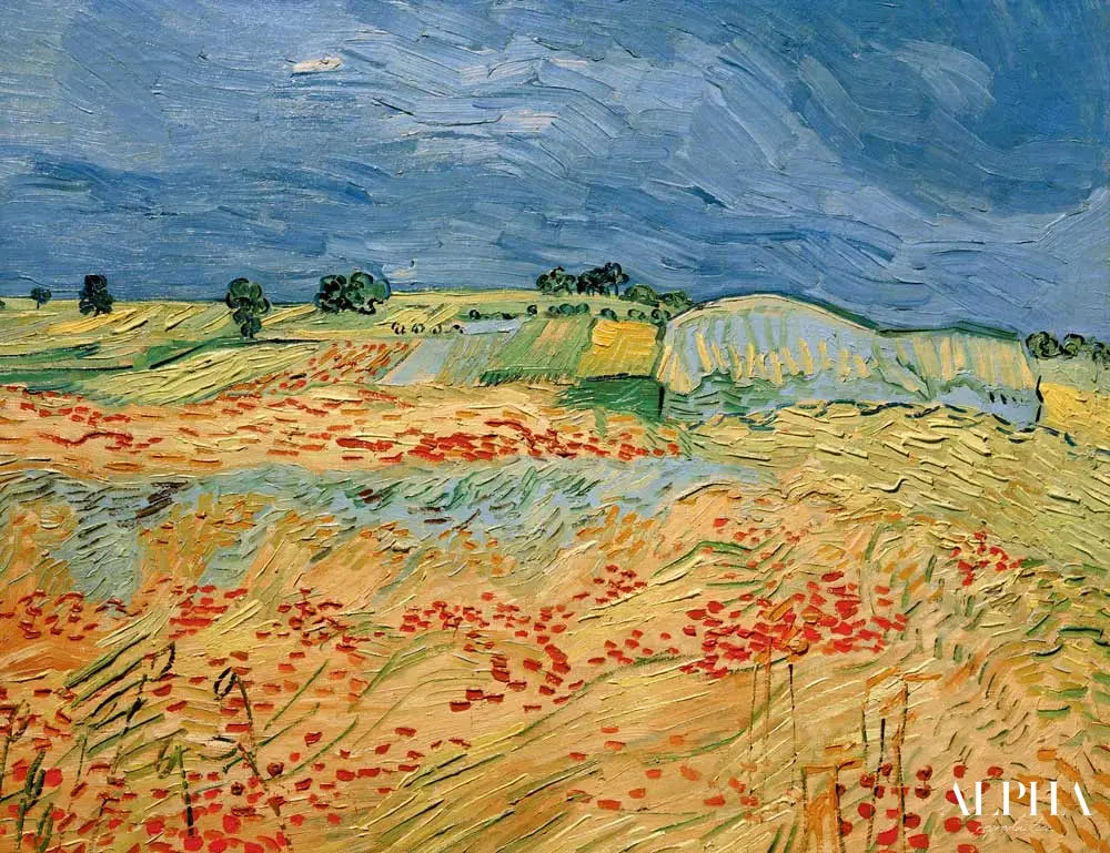 Champs de coquelicots en fleurs - Van Gogh - Reproductions de tableaux et peintures haut de gamme