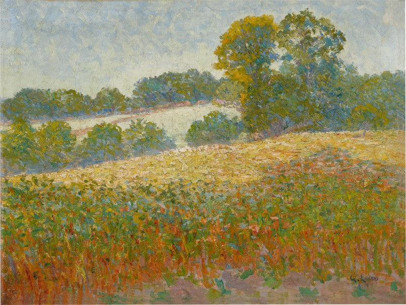 Bloemenveld - Gustave Loiseau