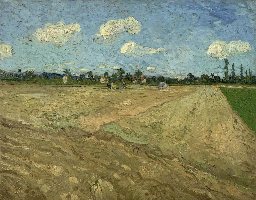 Gepploegde velden - Vincent van Gogh
