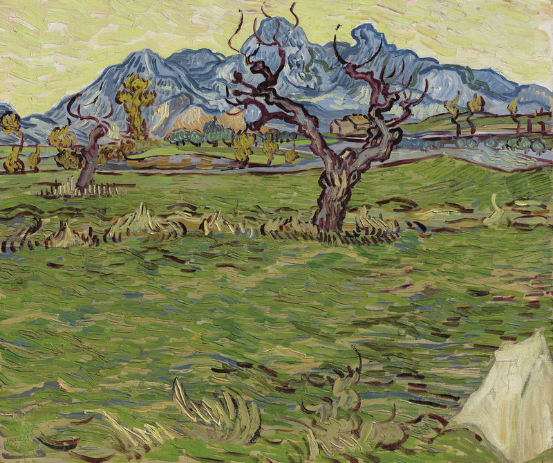 Velden bij de Alpilles - Vincent van Gogh