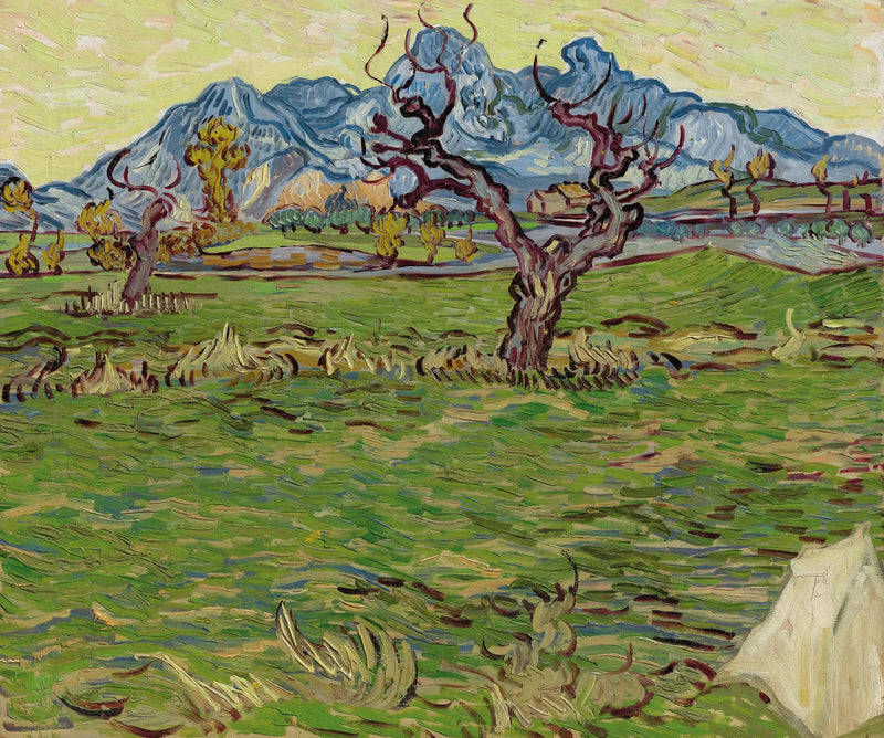 Velden bij de Alpilles - Vincent van Gogh