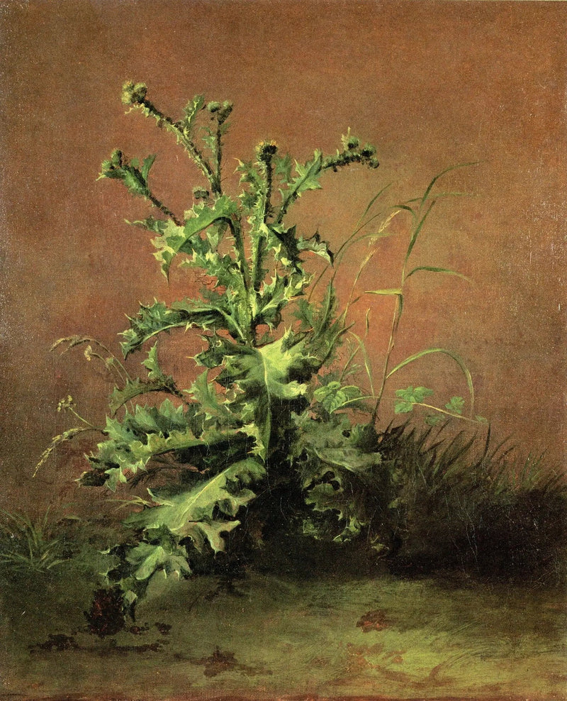 Distels - Édouard Manet