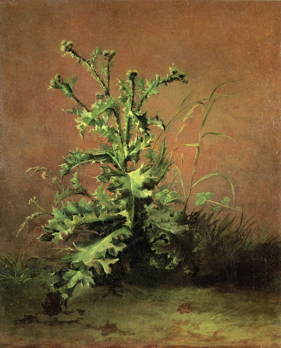 Distels - Édouard Manet