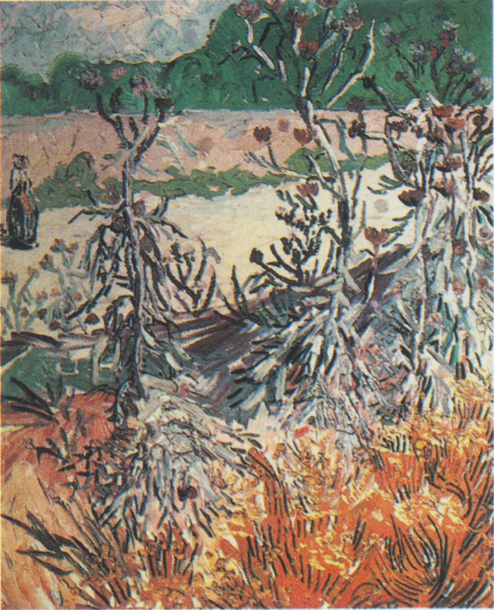Distels, F447 - Vincent van Gogh