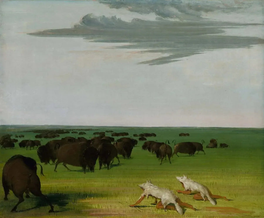 Bisonjacht onder de wolfshuidmasker - George Catlin

Source:
Chasse au bison sous le masque de peau de loup - George Catlin