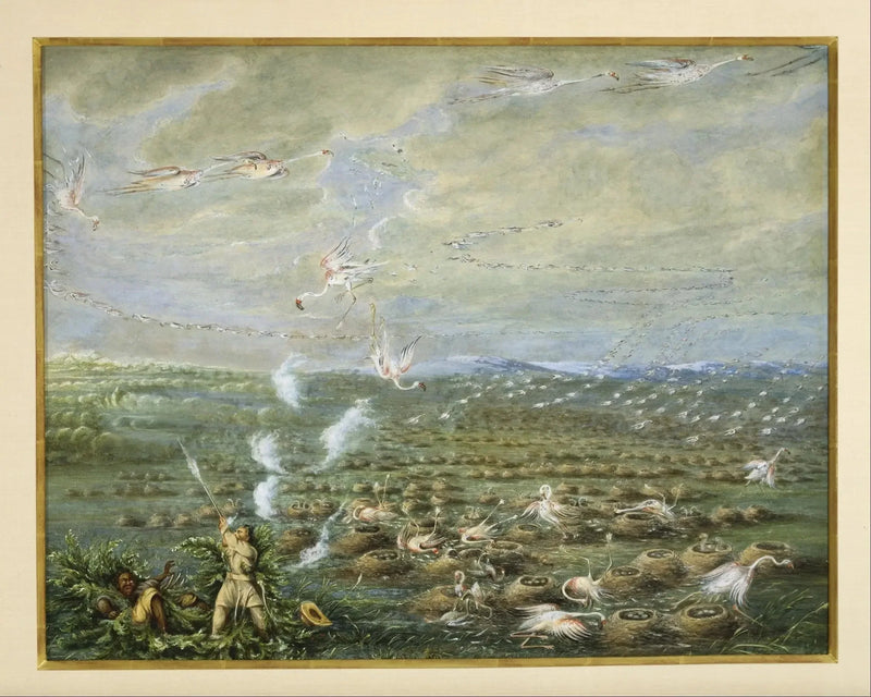 Jacht op roze flamingo's in Zuid-Amerika - George Catlin

Source:
Chasse aux flamants roses en Amérique du Sud - George Catlin