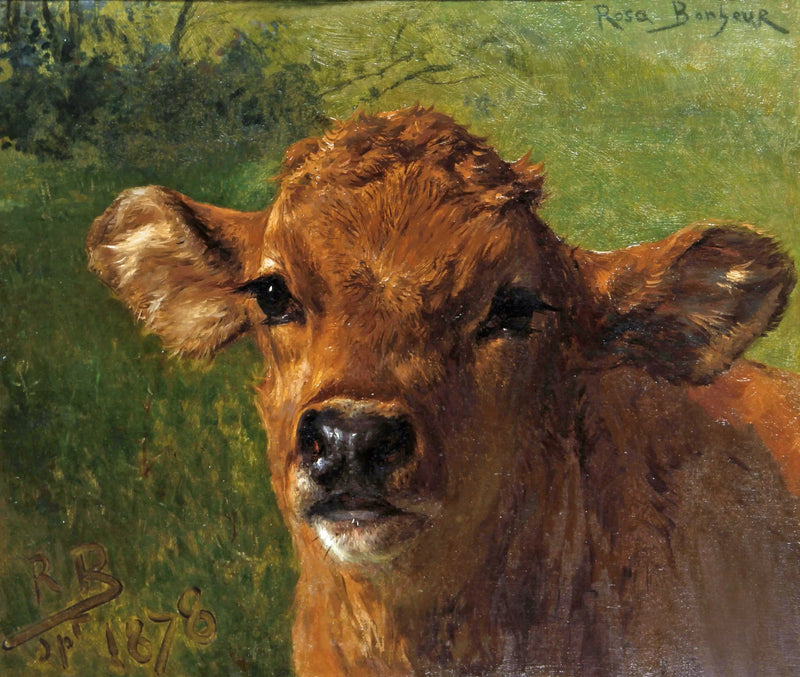 Leider van een kalf - Rosa Bonheur