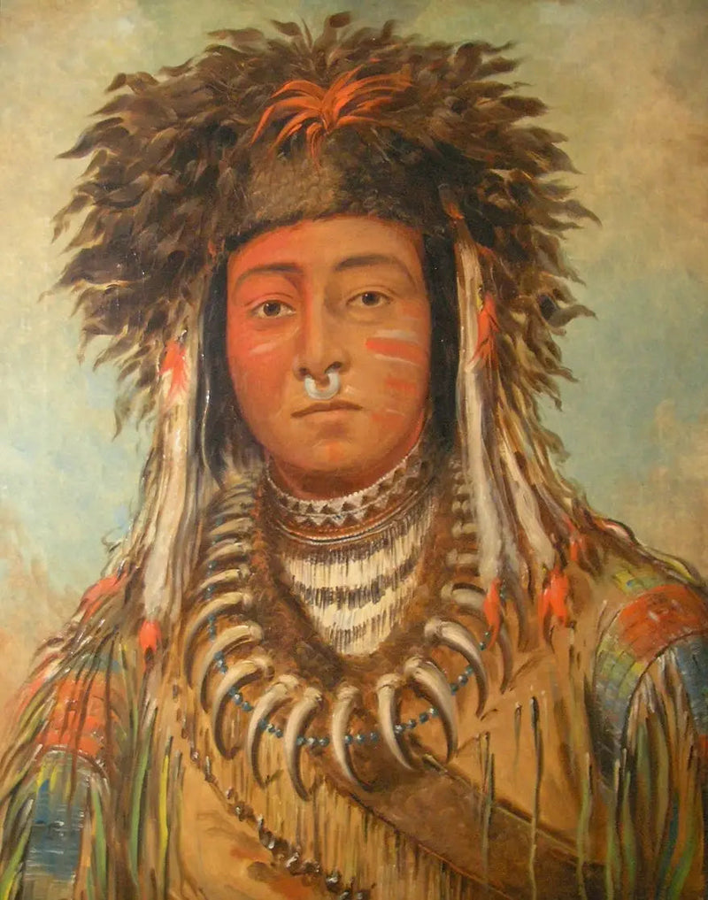 Chef des garçons - Ojibbeway - George Catlin

Source:
Chef des garçons - Ojibbeway - George Catlin