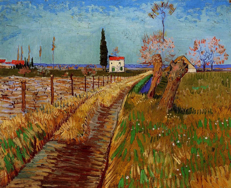 Pad door een wilgenveld - Vincent van Gogh