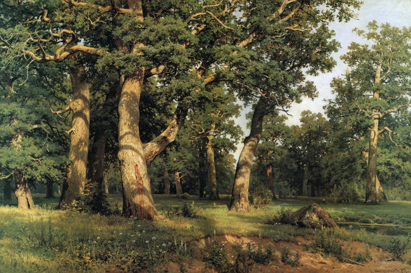 Eikenbos - Ivan Chichkine

Source:
Chêne Grove - Ivan Chichkine
